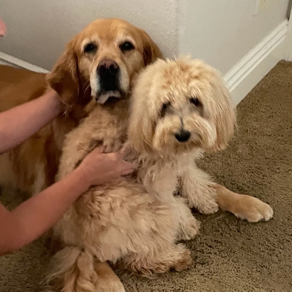 Meet your Posher, Lindsay